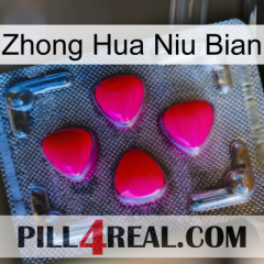 Zhong Hua Niu Bian 13